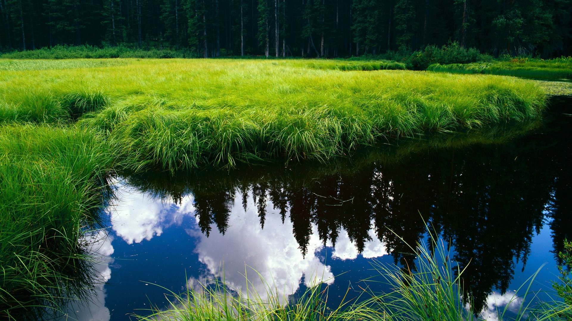 爱游戏下载-国家队欧国联胜局频现，望夺欧锦赛头把交椅，欧国联足球比赛赛程