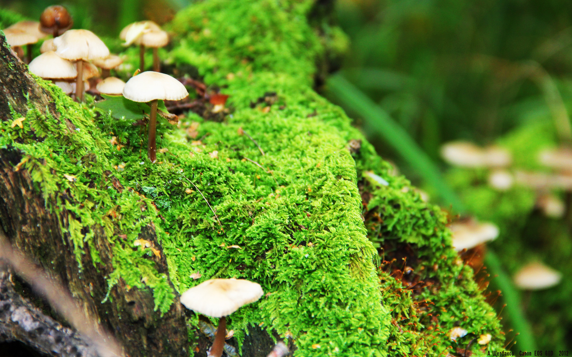 欧国联赛强队遭遇劲敌，胜负令人期待，欧国联赛程2020赛制