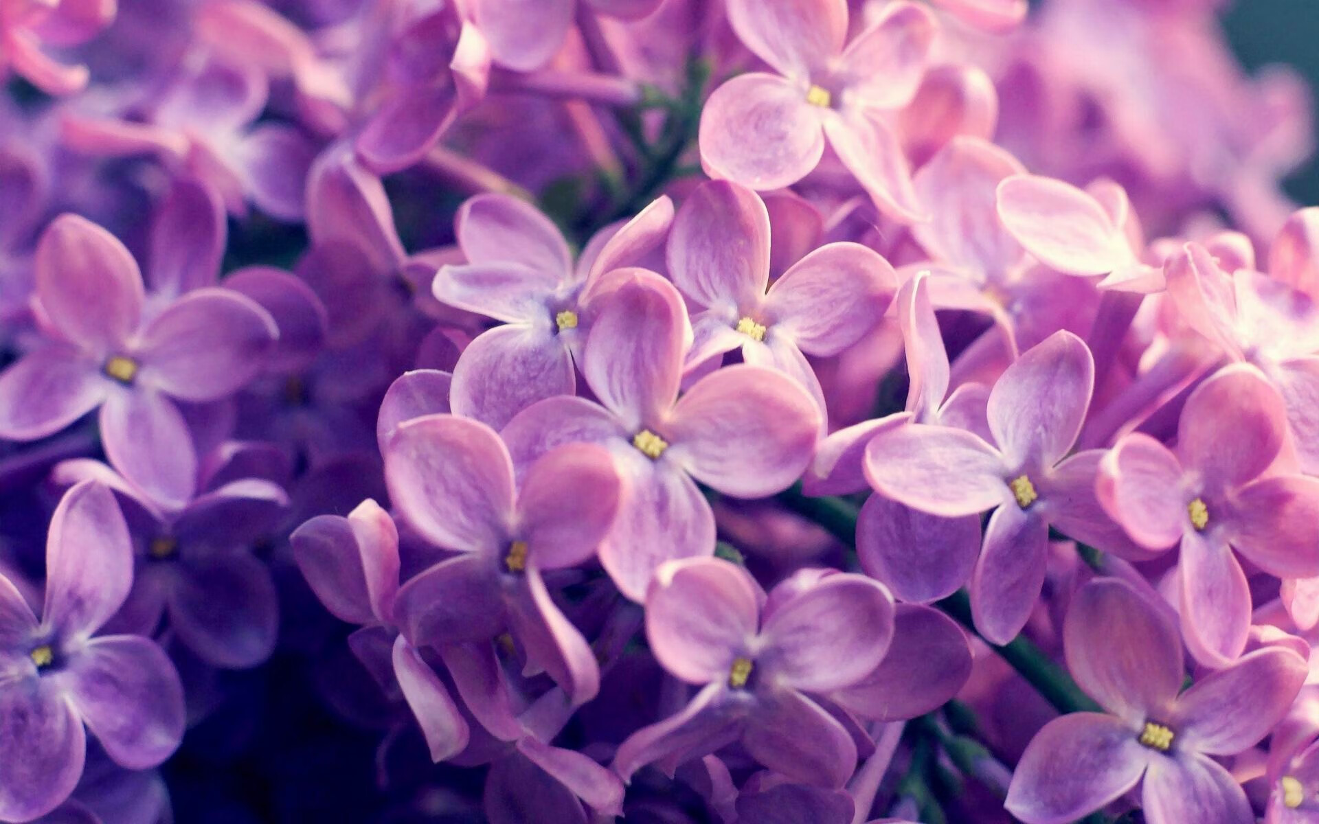 爱游戏线上-“沙滩手球精彩纷呈，运动员挑战速度与技巧”