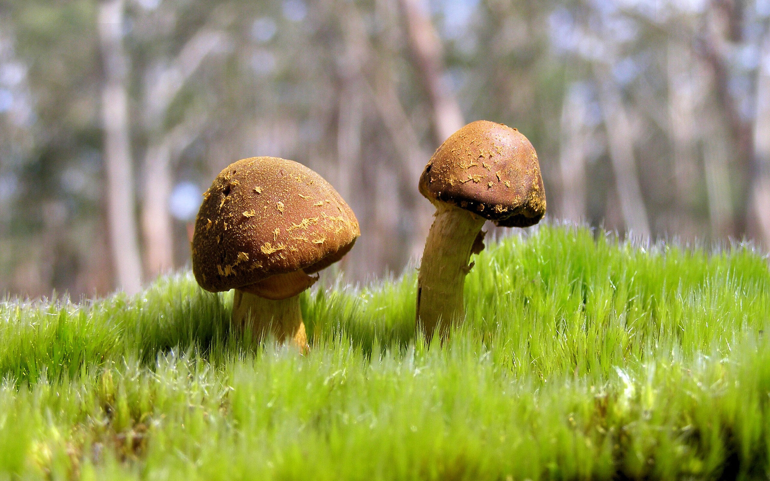 中国男篮强化体能训练备战国际赛事,中国男篮体育