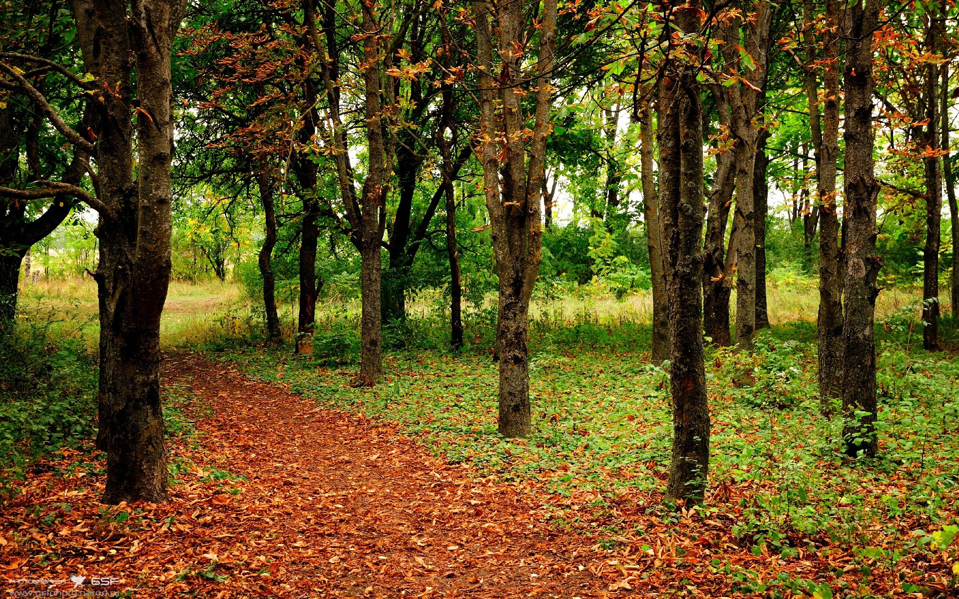 爱游戏电竞-兴隆湖水上盛事，马拉松再添新章，兴隆湖2021