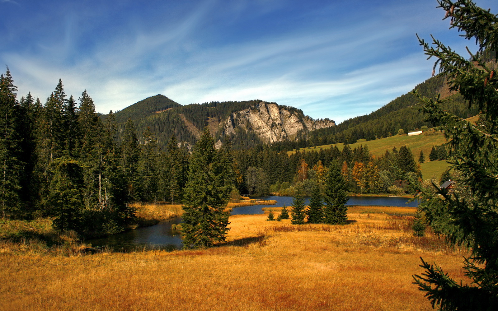国家女篮注重对手研究提升比赛适应性,国家队女篮要求